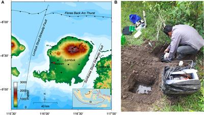Delineation of Upper Crustal Structure Beneath the Island of Lombok, Indonesia, Using Ambient Seismic Noise Tomography